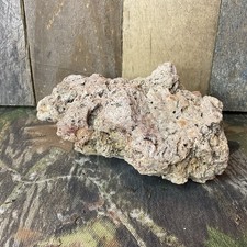 Missouri Druzy Quartz Natural Fossilized Coral Stone