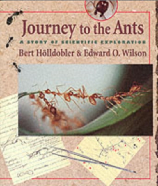 Journey to the Ants: A Story of Scientific Exploration by Bert Hoelldobler,... - Image 7