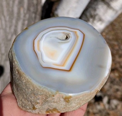 BEAUTIFUL BRAZILIAN AGATE HALF, NATURAL POLISHED DISPLAY AGATE 1LB 7.5OZ