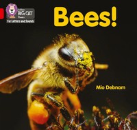 Big Cat L&S_Bees | Mio Debnam | Englisch | Taschenbuch | Kartoniert / Broschiert