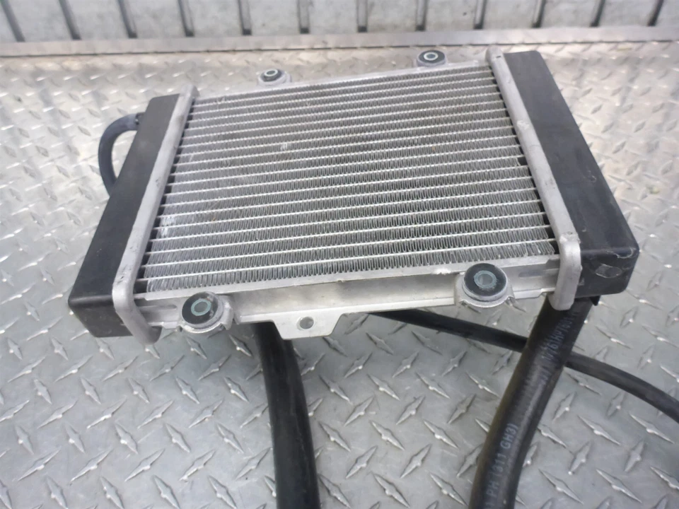 09 Hyosung MS3 250 Radiador Refrigerante Manguera Líneas Sensor de Temperatura Foto 2 de 4