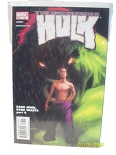 Incredible Hulk #53 Vol. 2 Marvel Comics 2003 MCU Direct Edition