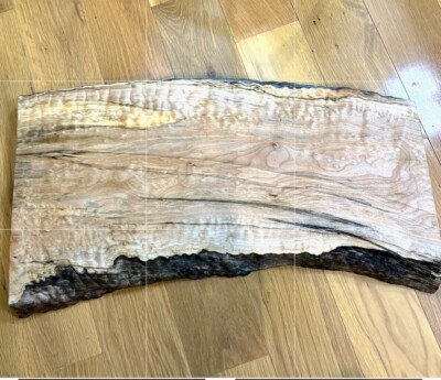 Big Leaf Maple Quilted Spalted Musical Billet - 27  x 1 3/4  x 11-14 