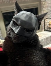 BatCat mask for cats
