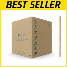 Plant-Based Agave Straws 1650 Pcs  Biodegradable Jumbo Size