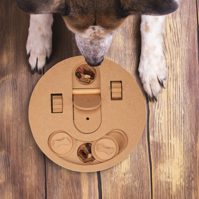 Schnüffelmatte Für Hunde – Puzzle Feeder Mit Blätterdesign | 41x34 Cm | Langsames Fressen, Geistige Auslastung