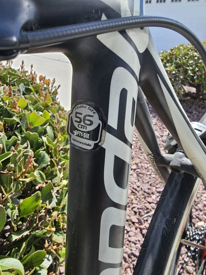 Cannondale B1-0302/Synapse Carbon 105 2016 Foto 3 de 4