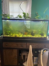 Crystal Clear Aquarium Filter for 40-150 Gall...
