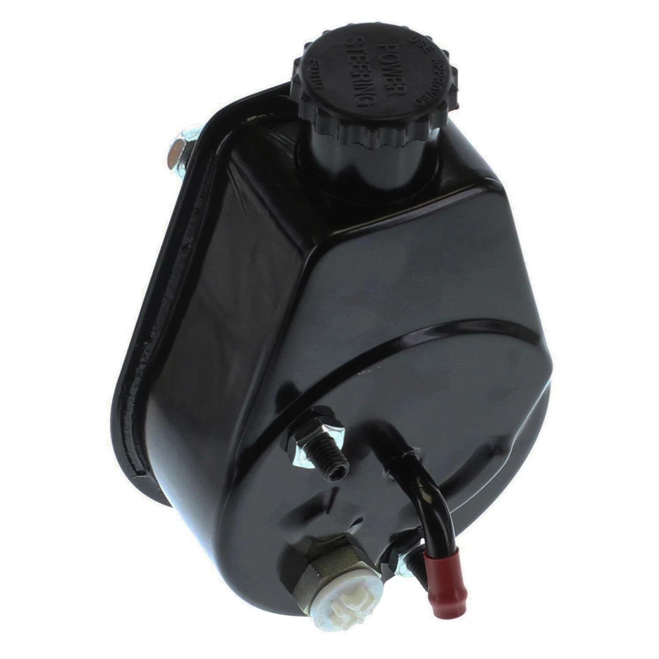 Bomba de dirección asistida autónoma Borgeson 800310 GM Saginaw Foto 2 de 4