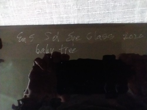 Sol Eyes Art Glass  Baby Tree  2020 Wall Hanging  Glass Panel by Emily Simpson  - Picture 8 of 8