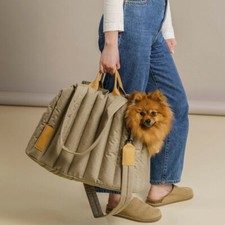 Pet Dog Cat Bag Carrier Light Waterproof Dog Out Portable Handbag Pet Accessorie