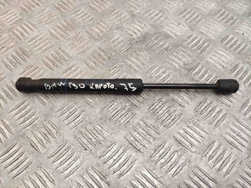 BMW 3 F30, F80 Vordere linke Motorhaubendämpfer 51237255812-03 7255812 21439819