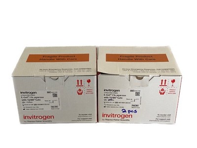 (12) THERMO INVITROGEN E-Gel 1% Agarose Gels  w/ SYBR Safe DNA Gel Stain A42100