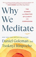 Why We Meditate | The Science And Practice Of Clarity And Compassion | Englisch
