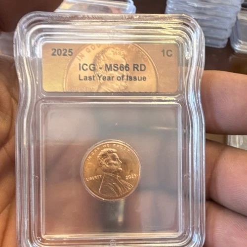2025 Lincoln Shield — photo from the most recent tracked eBay sale