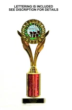 BEAUTY PAGEANT,  BEAUTY QUEEN CROWN & ROSES INSERT  8 COLORS