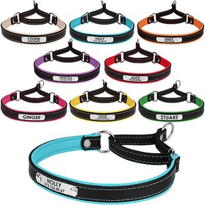 Leather-Dog-Collar-Martingale-Choke-Collars-for-Dogs-Personalized-ID-Tag