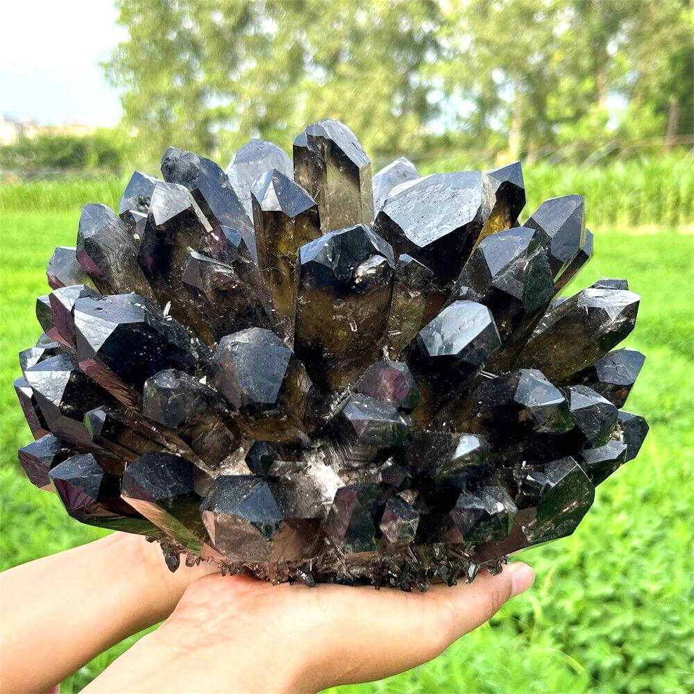 12LB+ Natural Black Smoky Citrine Quartz Crystal Cluster Mineral Specimen Raw Healing Stone
