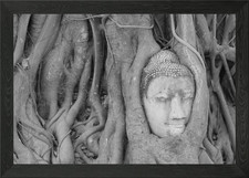 Buddha statues and temples Framed Wall Art Poster Canvas Print Picture