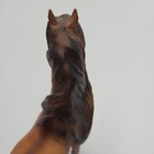 Breyer Horse Classics #480 Mesteno the Messenger Spanish Mustang — photo 8