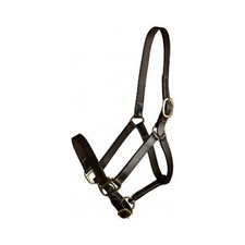 Gatsby Adj Turnout Leather Halter No Snap