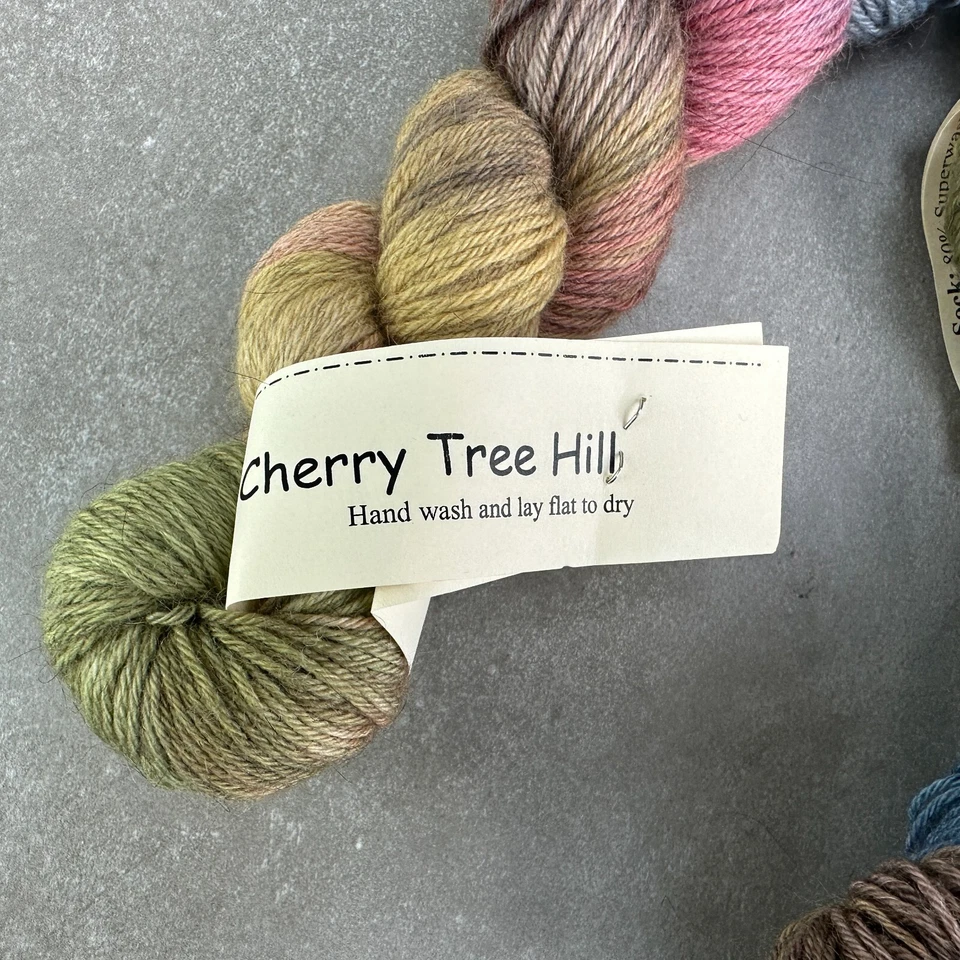 Cherry Tree Hill Yarn Hank Lot PALM BEACH Hand Dyed CLOSED Discont. Fingering US - Image 2 of 4