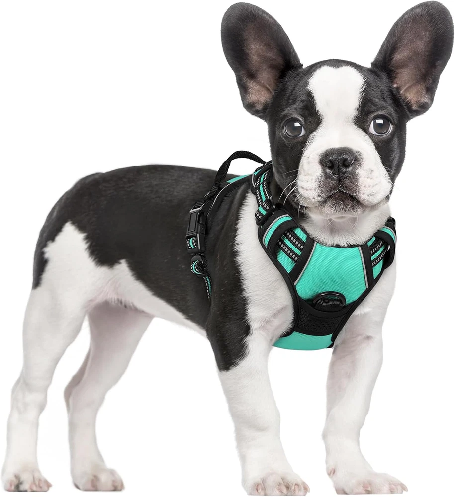 Dog Harness No Pull with 2 Leash Clips, Adjustable Soft Padded, Reflective Oxfor