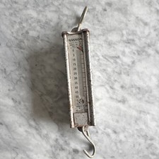 Hanson Model 895 Hanging Spring Fish Weighing Scale, 50 lb, Silver