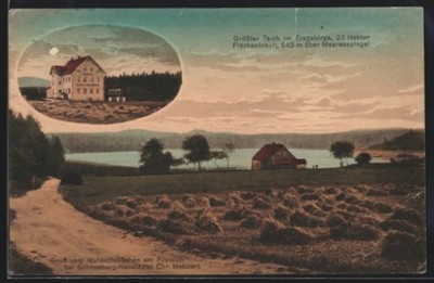 AK Schneeberg-Neustädtel, Gasthaus Waldschlösschen, größter Teich im Erzgebirge 