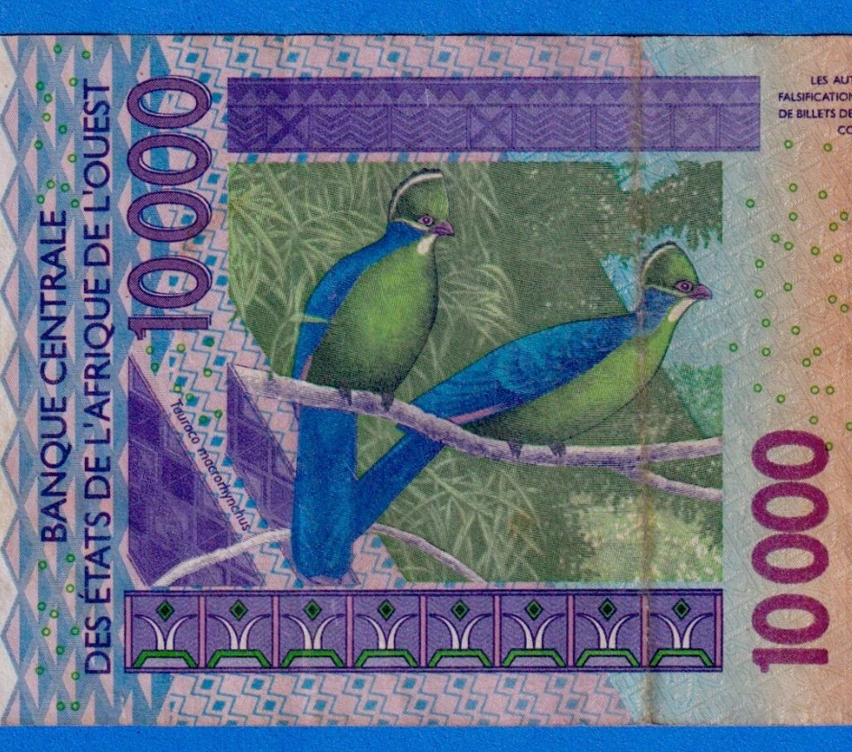 Burkina Faso West African States CFA 10000 Francs 2003 P-318Ca  Circ 03238845149 - Image 4 of 4