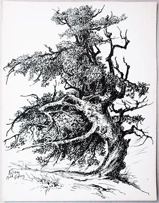 Paul Groß 1873-1942:Alter Wetterbaum bei Kösen Sachsen-Anhalt Tusche 1930 - Bild 1 von 4