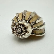 Spider Conch Lambis Sterling Silver Laced Edges