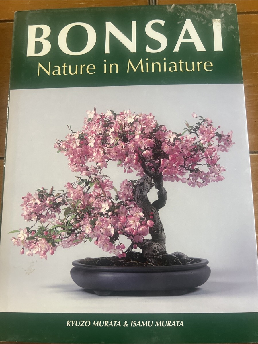 elektrische zahnbürste aus bambus Bambus Zahnbürste - 4 Stück main image 0