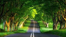 Landscape road trees green asphalt grass Custom Gaming Mat Desk