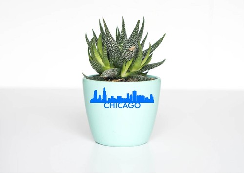 Chicago Illinois Decal Vinyl Sticker IL Skyline Skyscapes City View USA Urban - Picture 6 of 23