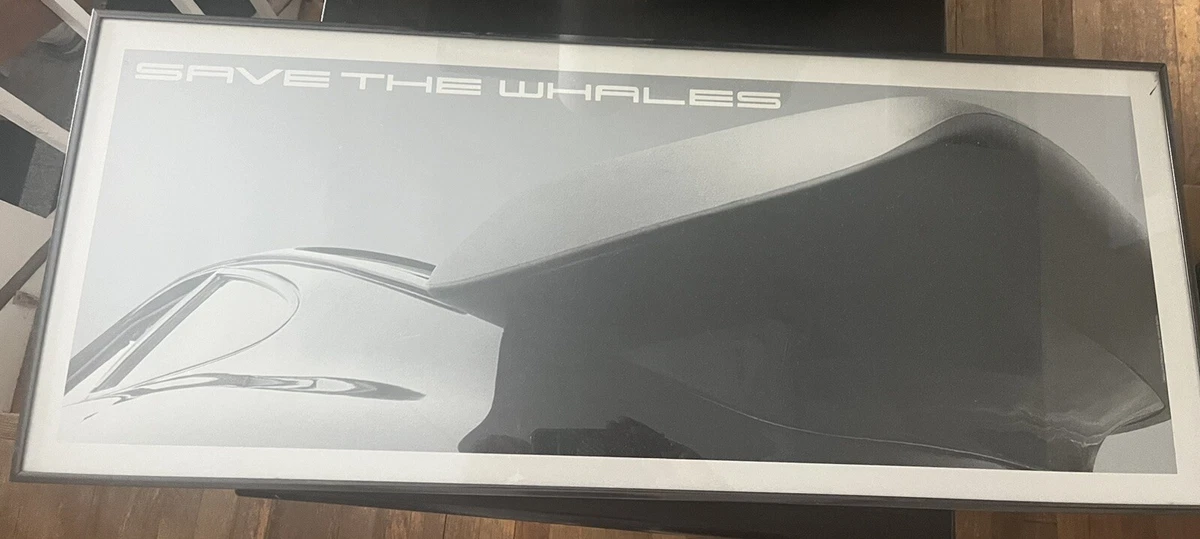 Save The Whales Porsche Poster Framed By Photographer Lorenzo Garcia Very Rare
