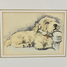 Lucy Dawson Sealyham Terrier Hand  Coloured Framed Print Genuine Vintage 1936/37