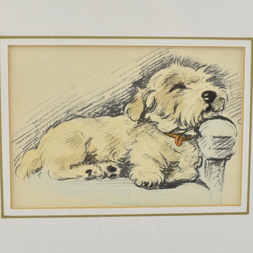 Lucy Dawson Sealyham Terrier Hand Coloured Framed Print Genuine Vintage 1936/37