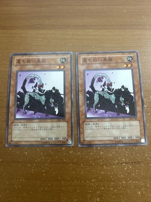 Yugioh: Dark Cat with White Tail - 303-029 - Champion of Black Magic Cards (x2)