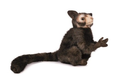 HANSA Aye Aye Plush 20cm Realistic Stuffed Animal Toy Japan BH5166