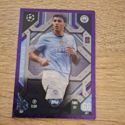 Topps Match Attax CL Extra 24/25 Nr. 307 Rodri Mittelfeldschild lila