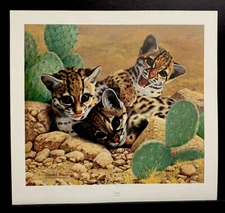 Charles Frace Signed Limited Edition Signed Print "Ocelots” Kittens