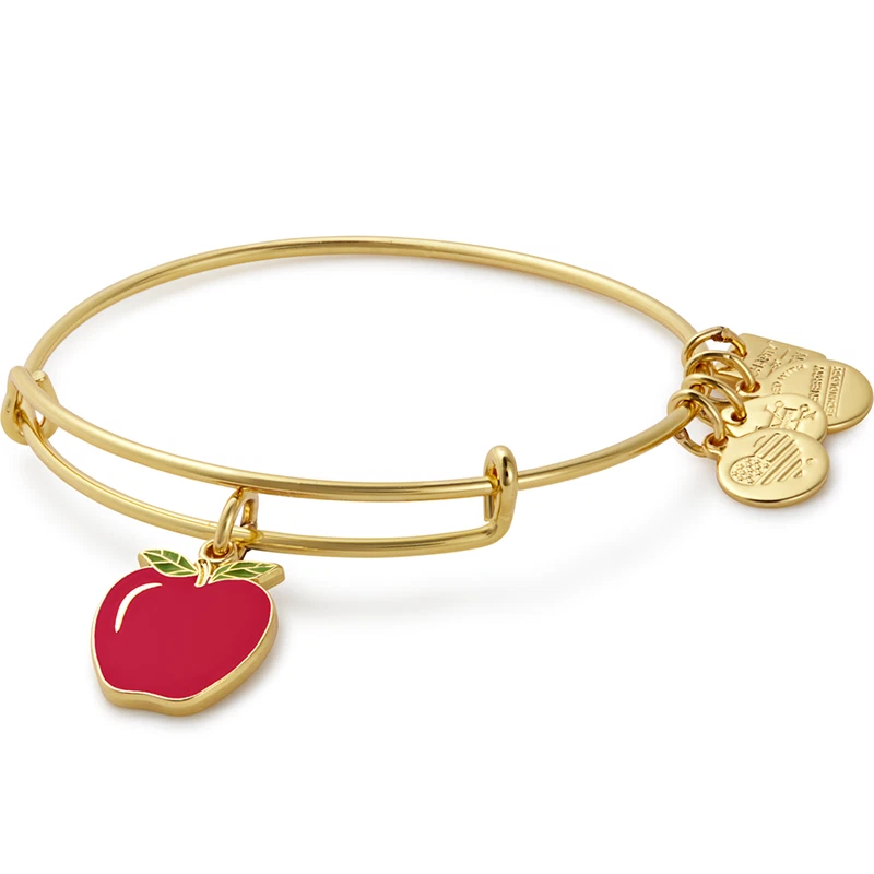 Alex and ani cheap teacher appreciation bracelet