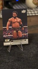 2024 Upper Deck AEW All Elite Wrestling - Powerhouse Hobbs #49