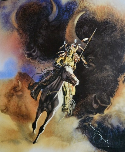 Bev Doolittle Framed Art Prints "11X14” "Runs with Thunder" Buffalo Native Brave - Picture 8 of 10