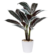 24.8" Artificial Cordyline Fruticosa Plant Decorative Indoor Tropical Fake Pl...