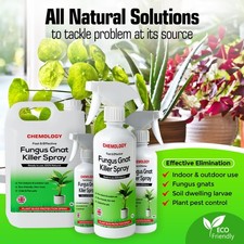 100% Natural Fungus Gnat Killer Spray House plants  Gardens Organic Pest Control
