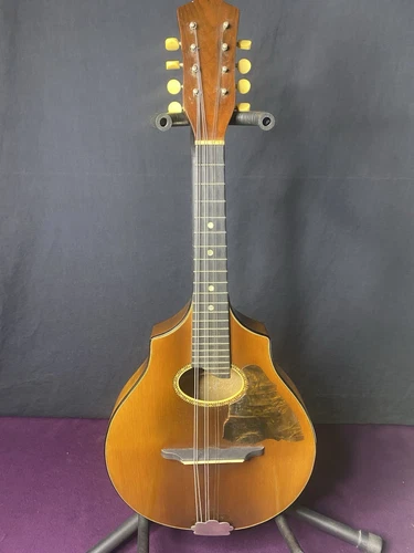 Vintage Vega Mandolin Tunnel Maple Body Spruce Top Great Condition