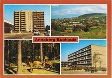 14-c252 postcard Annaberg-Buchholz residential area view Pöhlberg dam game enclosure