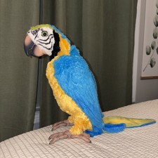 Working-hasbo Furreal Friends Squawkers Mccaw Parrot 